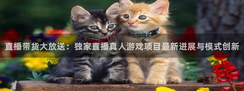 奇亿娱乐下载