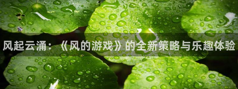 奇亿娱乐4开户：风起云涌：《风的游戏》的全新策略与乐趣体验
