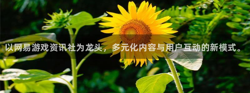 奇亿娱乐直属