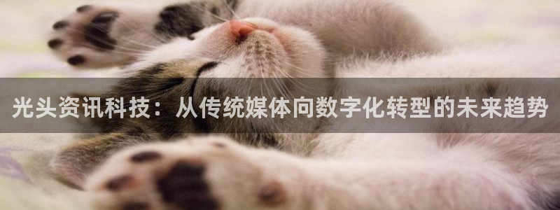 奇亿娱乐咨询