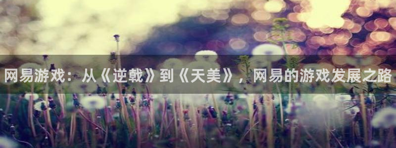 奇亿娱乐2登录：网易游戏：从《逆戟》到《天美》，网易的游戏发