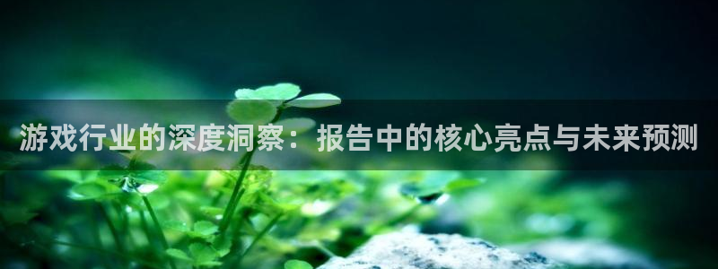 奇亿娱乐开户测速：游戏行业的深度洞察：报告中的核心亮点与未来