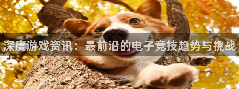 奇亿娱乐注册网站：深度游戏资讯：最前沿的电子竞技趋势与挑战